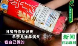 百态爆料视频大全免费观看,免费观看视频大全揭秘世间百态